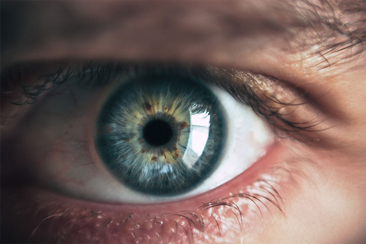 Read more about the article Tremor ocular: Por que às vezes o nosso olho treme?